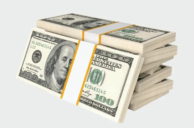 Ile gotówki można przewieźć przez granicę bez ryzyka kar? Ile gotówki można przewieźć przez granicę bez ryzyka kar?