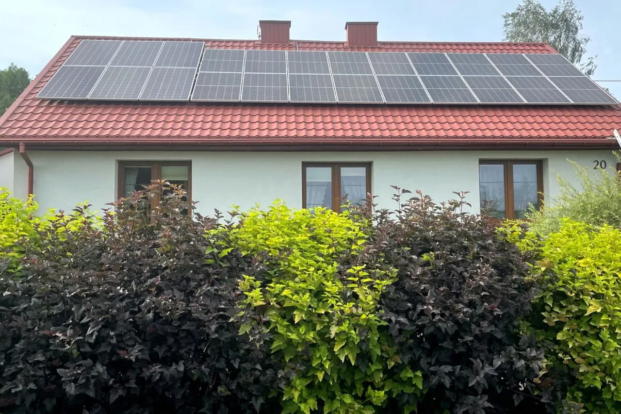 Pęcherznica żywopłot co ile sadzić – uniknij błędów w sadzeniu