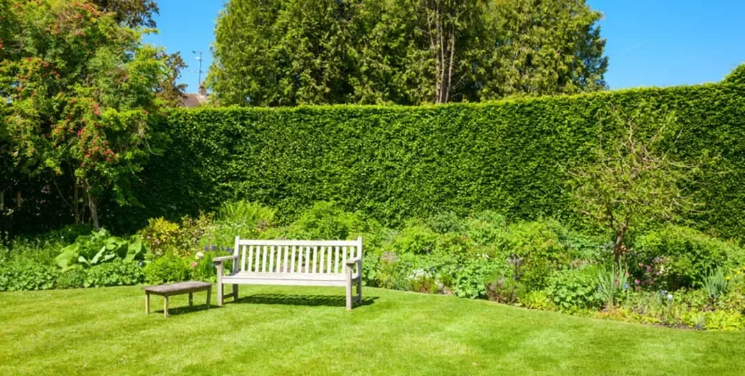 Jak rozmnożyć żywopłot - skuteczne metody i porady dla każdego